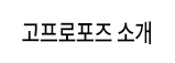고프로포즈 소개